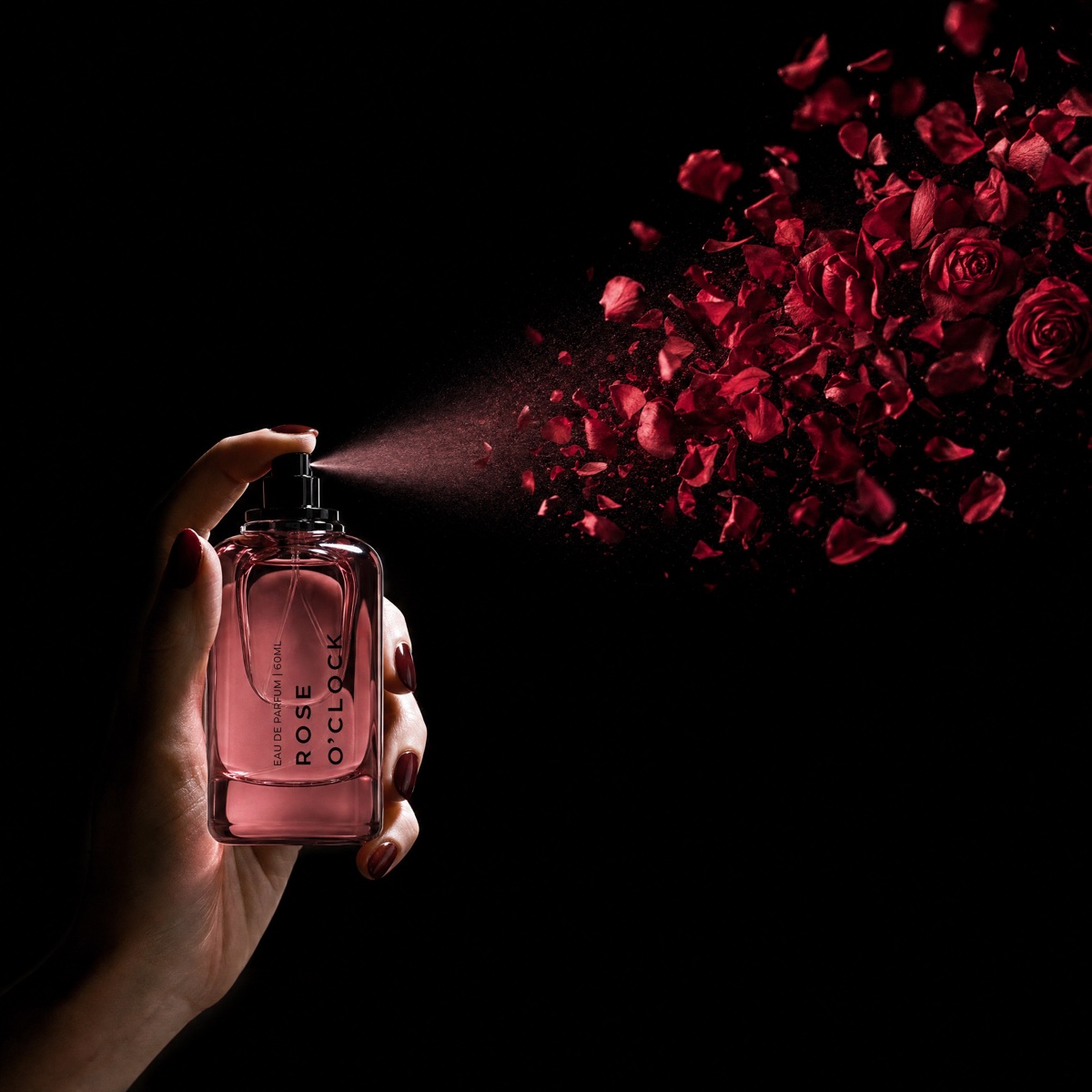 Rose O'Clock - spraying its world