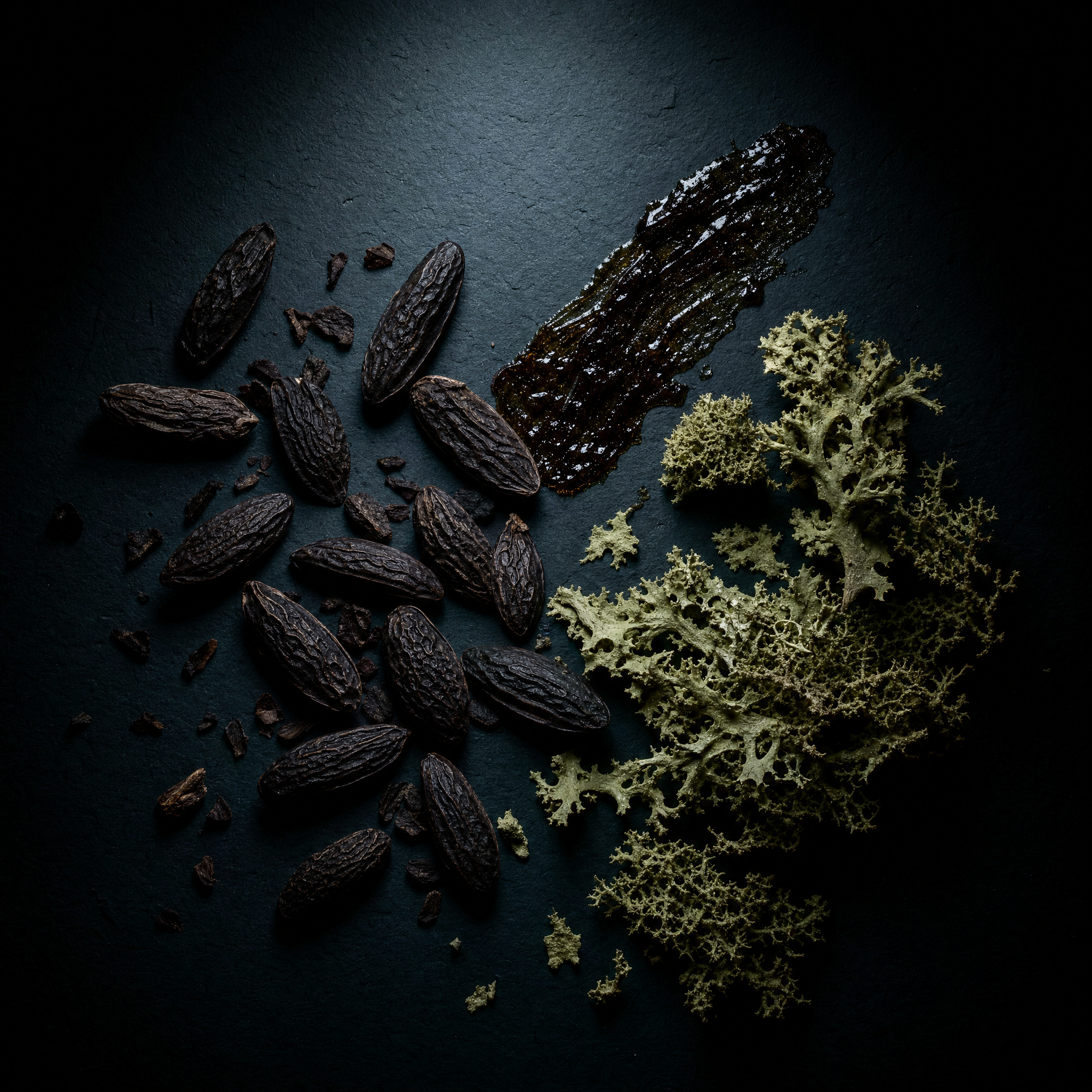 Lands - Tonka Bean, Civet, Oakmoss